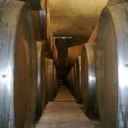 01_Salis (4)